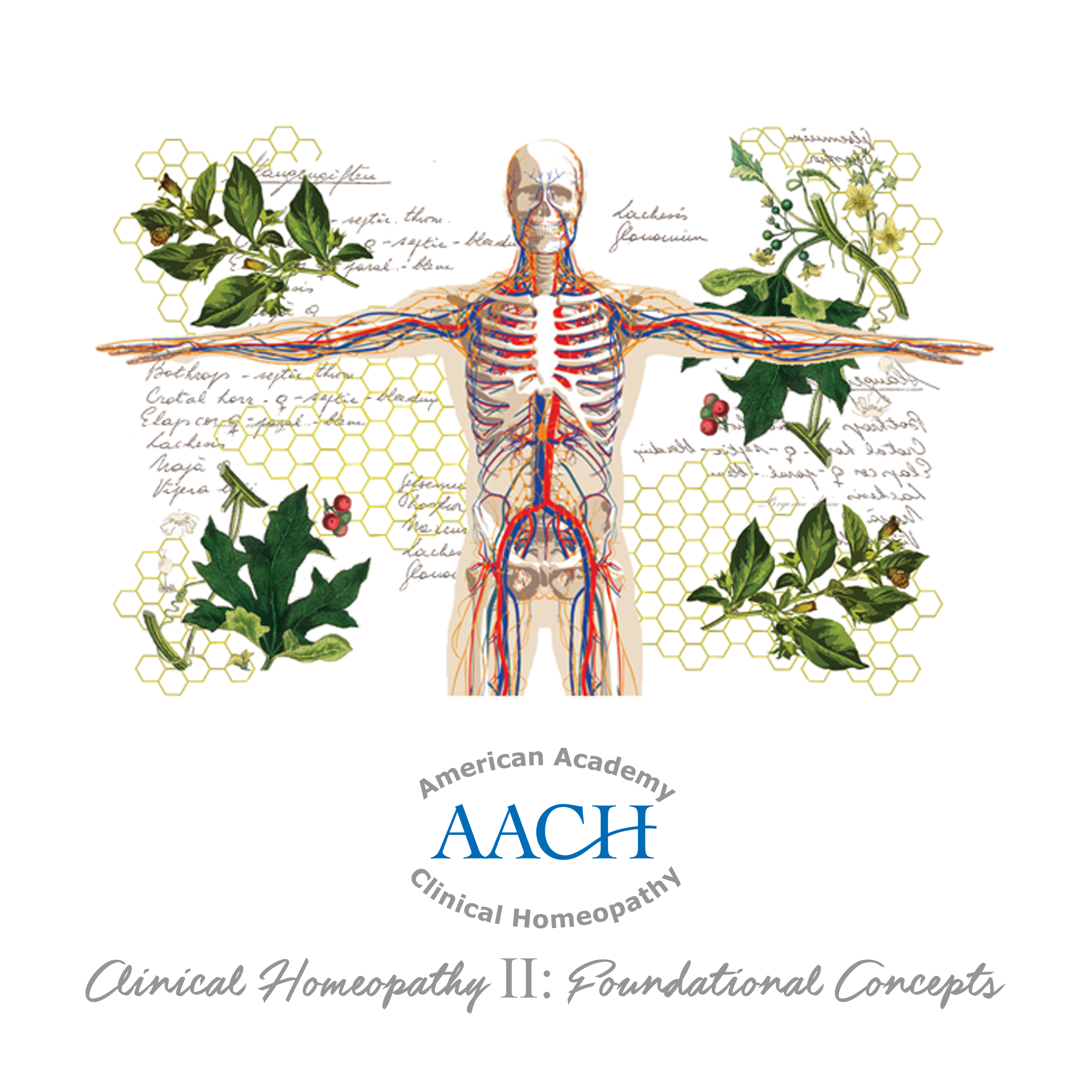 Clinical Homeopathy II: Foundational Concepts