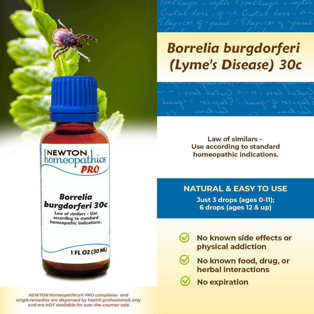 Borrelia burgdorferi (Lyme's disease)