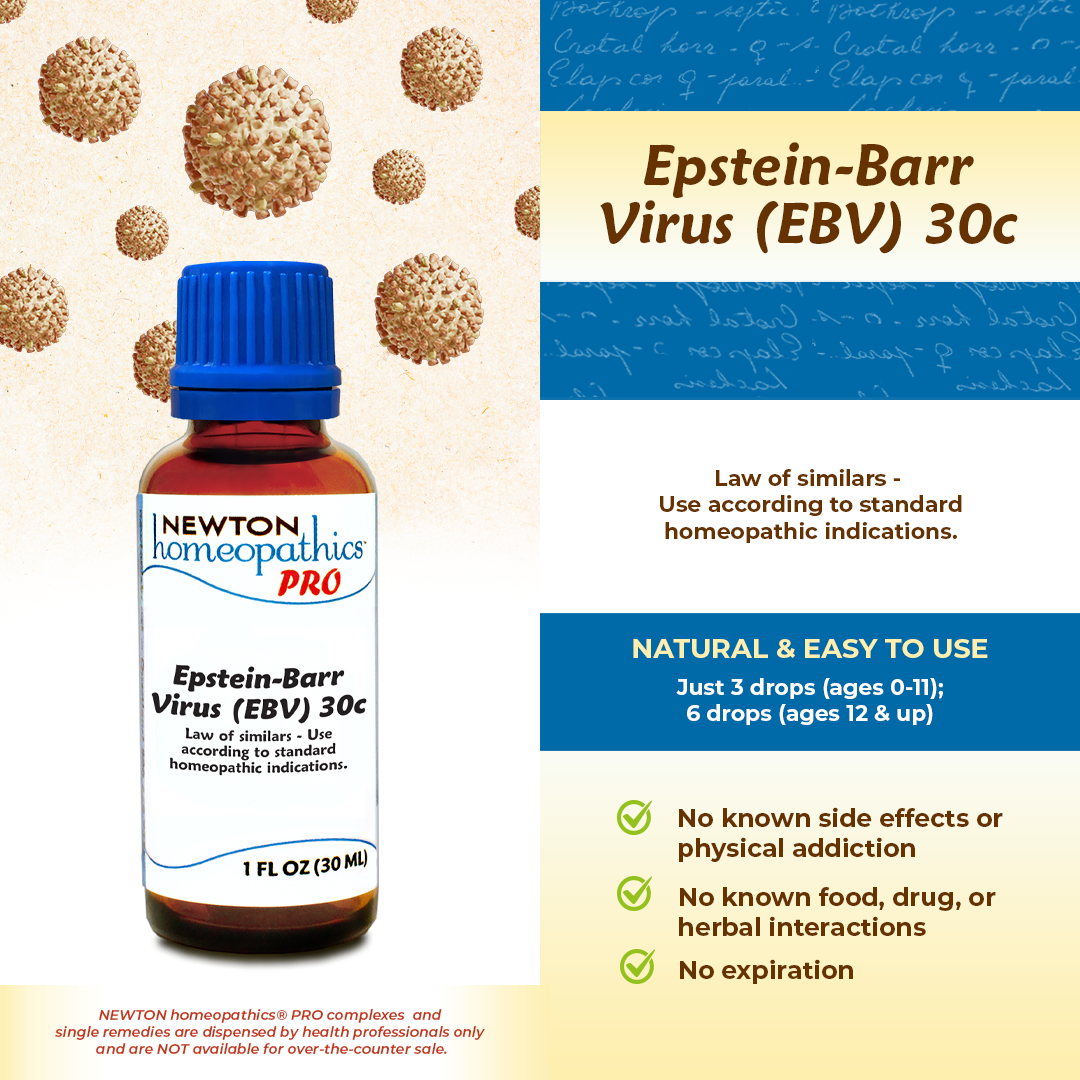 Epstein-Barr Virus (EBV)