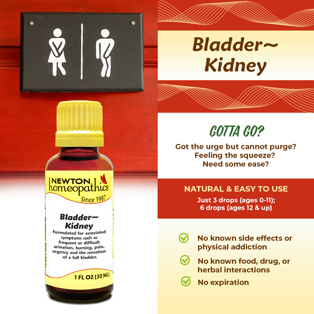 Bladder ~ Kidney