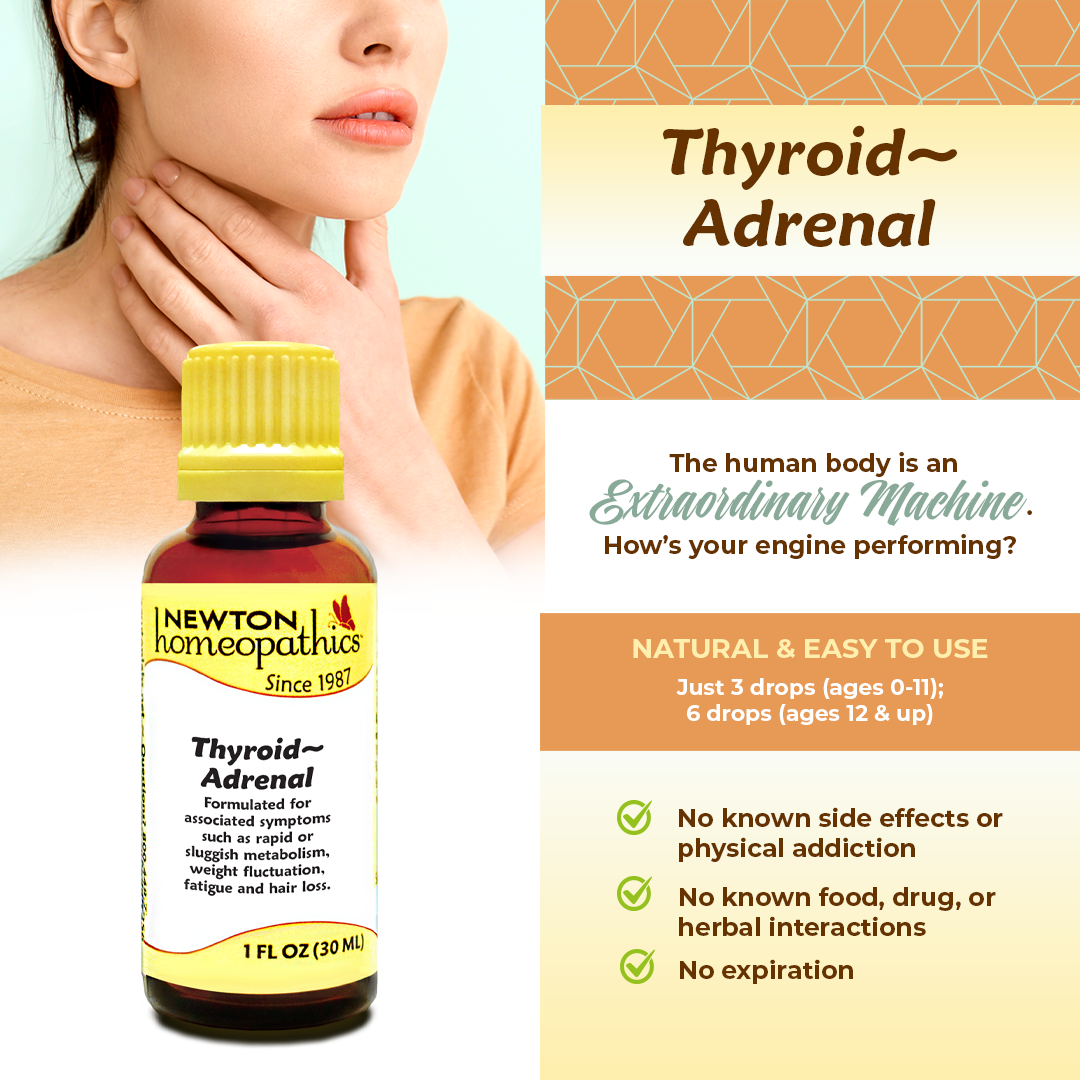Thyroid ~ Adrenal