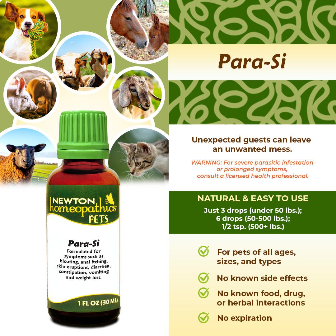 Pets Para-Si