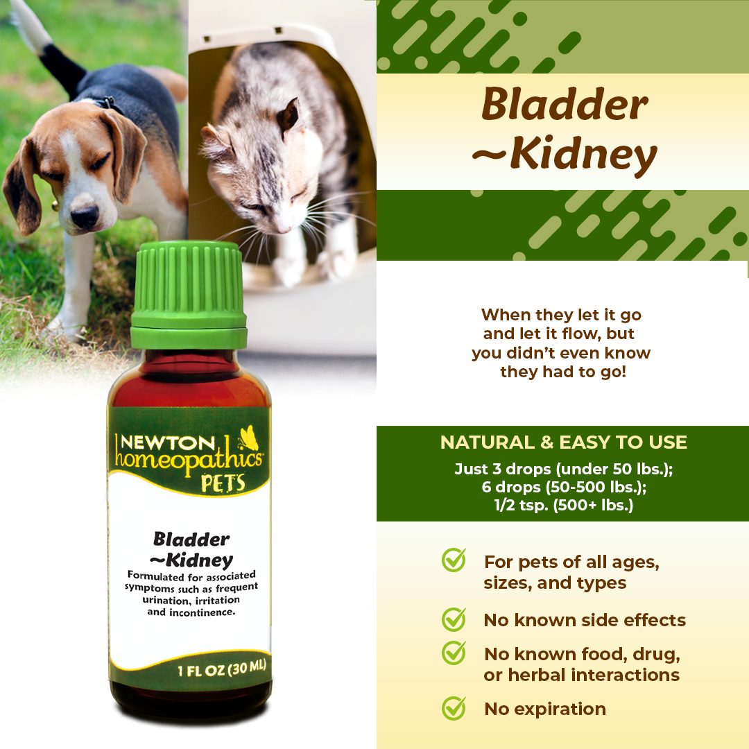 Pets Bladder~Kidney