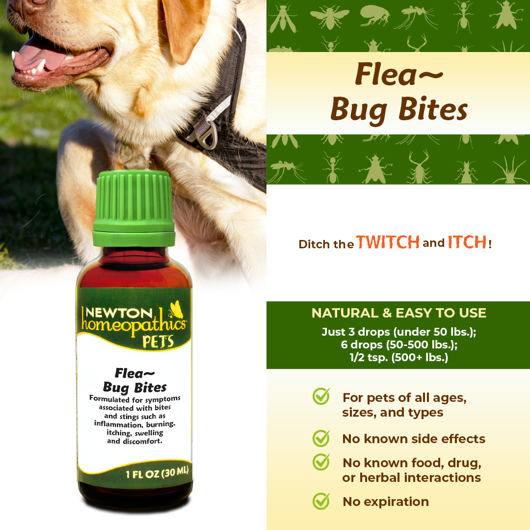 Pets Flea~Bug Bites