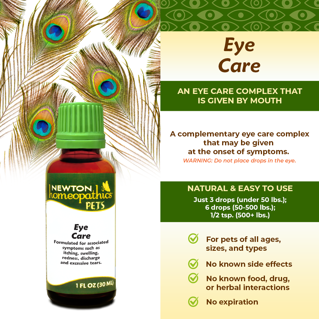 Pets Eye Care