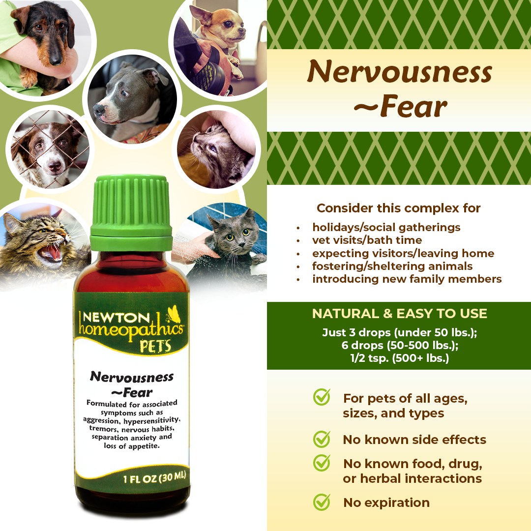 Pets Nervousness ~ Fear