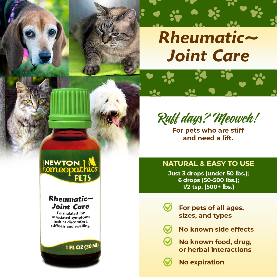 Pets Rheumatic ~ Joint Care