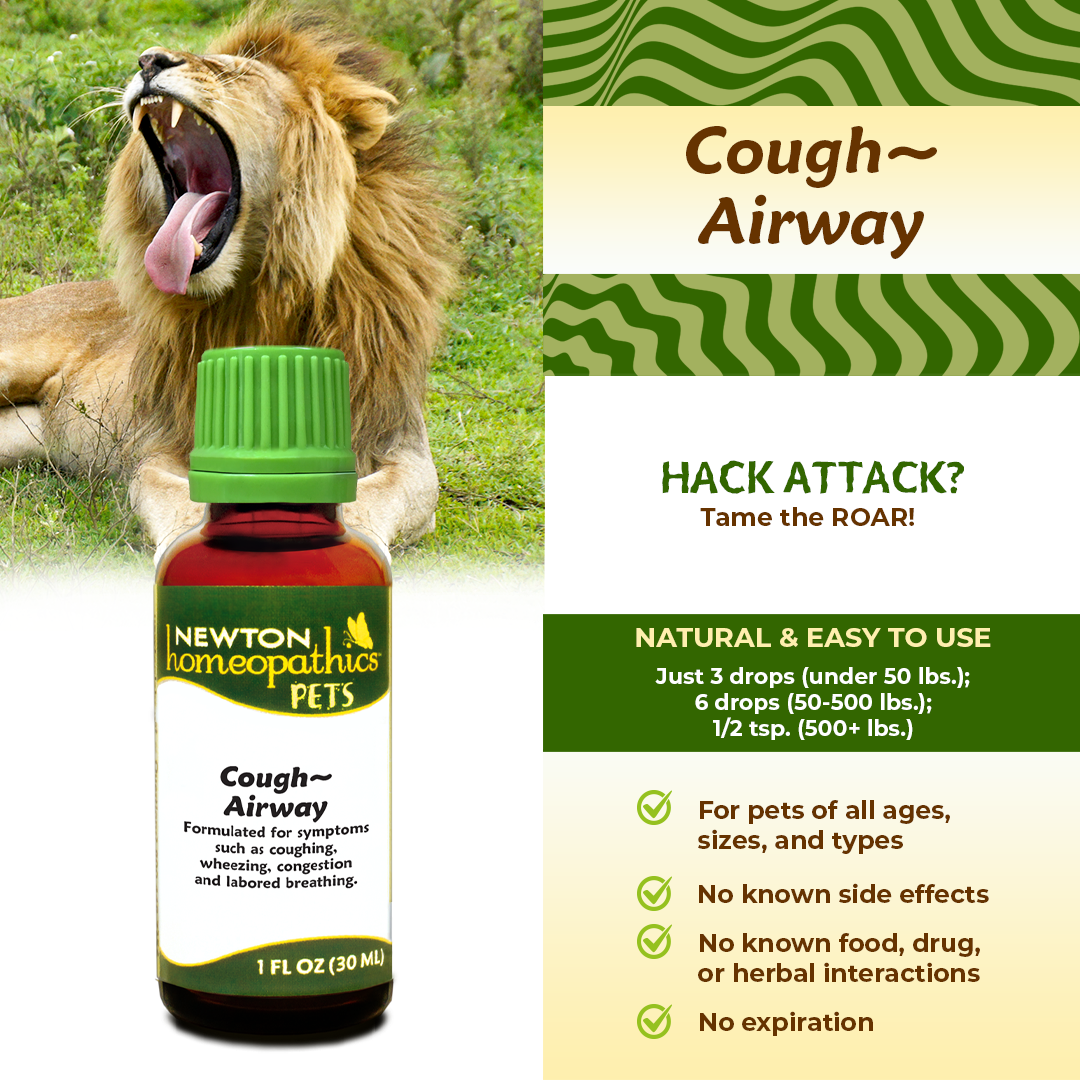 Pets Cough ~ Airway