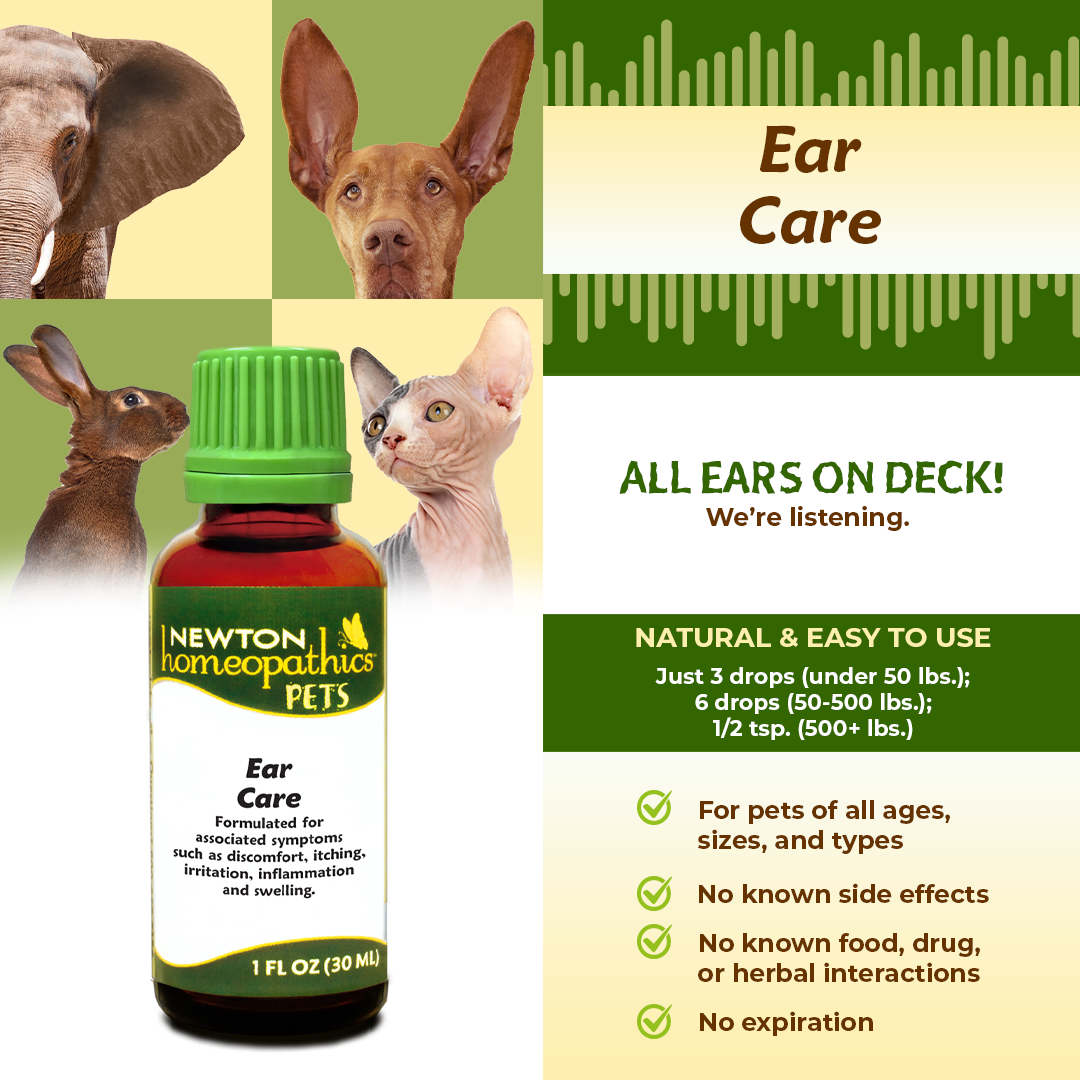 Pets Ear Care