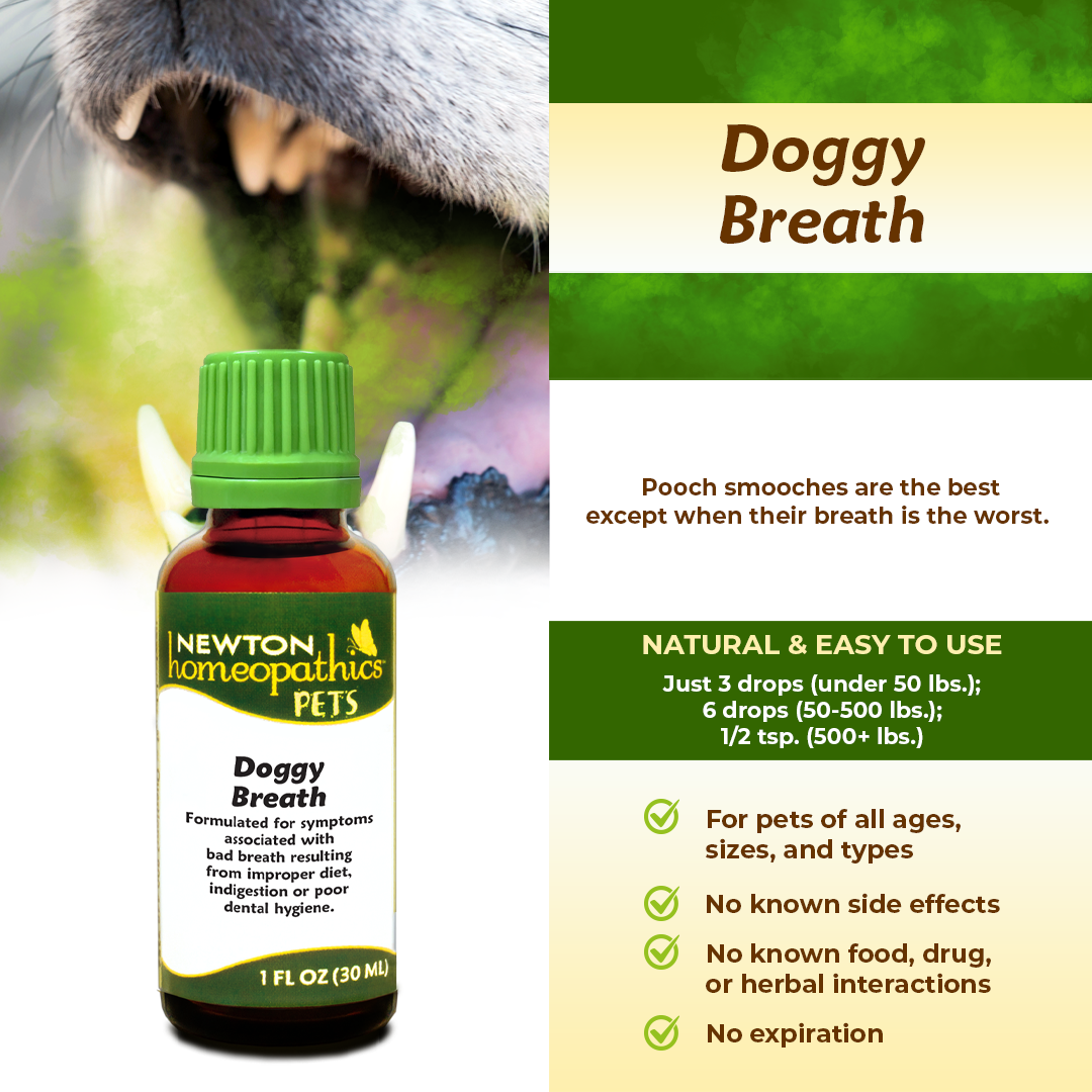 Pets Doggy Breath
