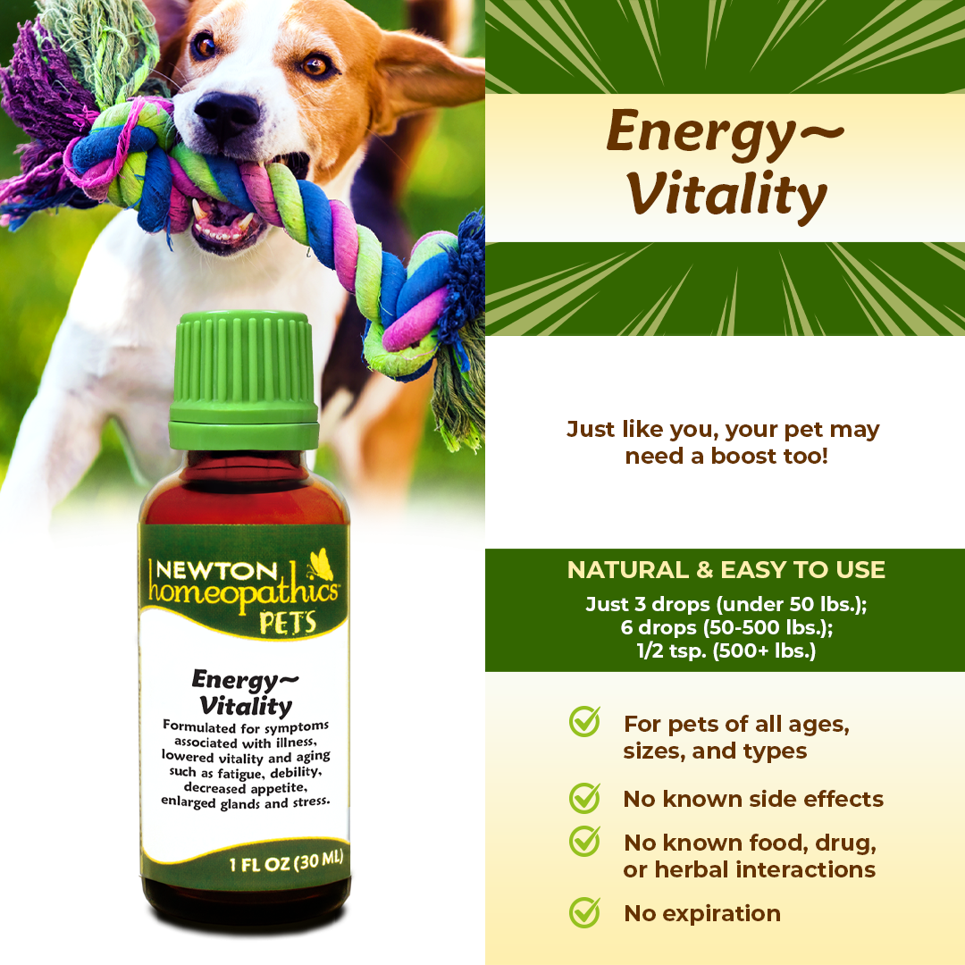 Pets Energy~Vitality