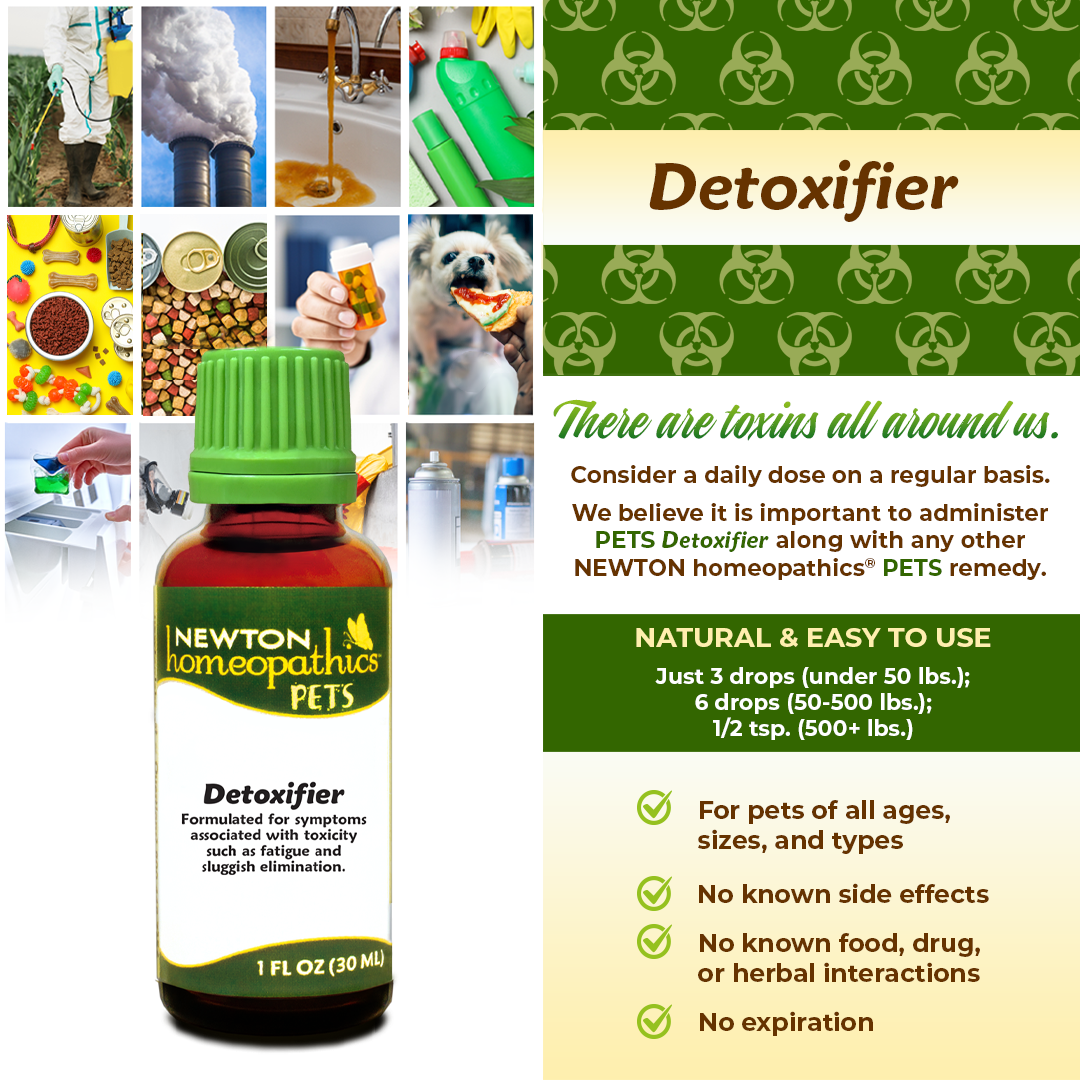 Pets Detoxifier