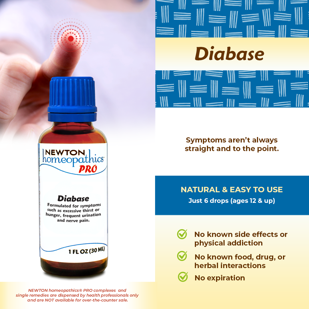 PRO Diabase