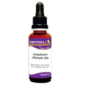 Symphytum officinale